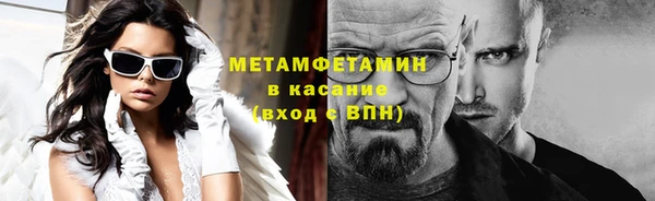 шишки Осинники