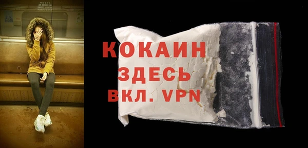шишки Осинники