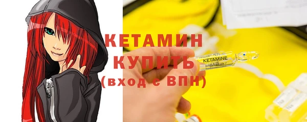 шишки Осинники