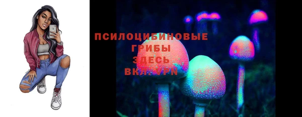 шишки Осинники
