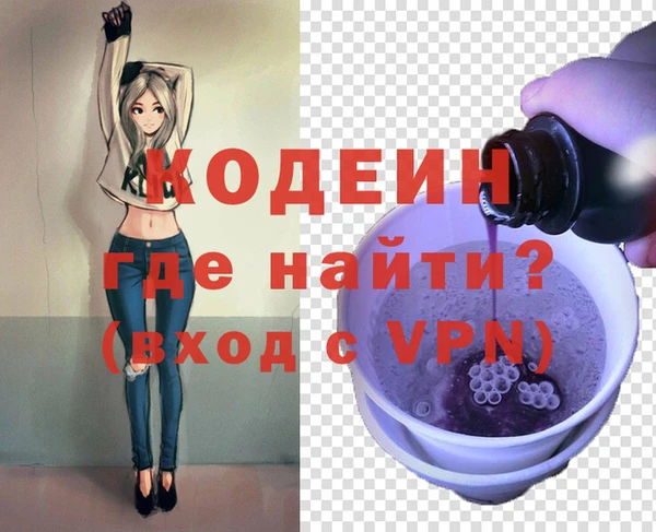 шишки Осинники