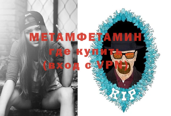 шишки Осинники