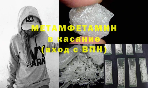 шишки Осинники