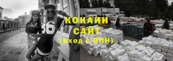 шишки Осинники