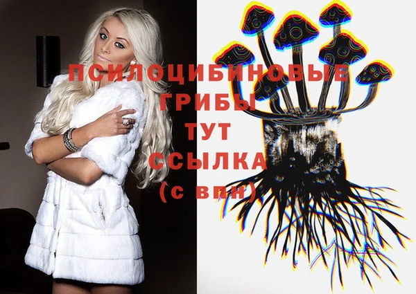 шишки Осинники