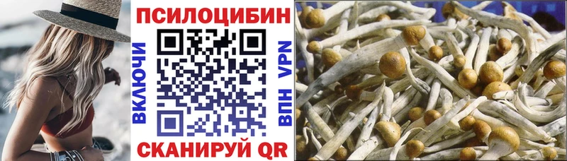Галлюциногенные грибы Psilocybine cubensis Константиновск
